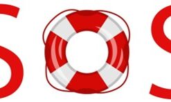 2nd Opinions for Buyers and Sellers of Businesses